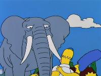 Click to watch 'Bart Gets an Elephant' (popup) The Simpsons